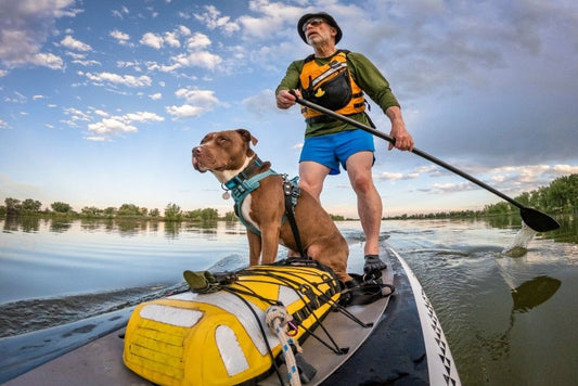 Top 11 Spring and Summer Activities in Colorado