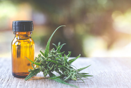 CBD Facts and Myths: What’s True and What’s Not