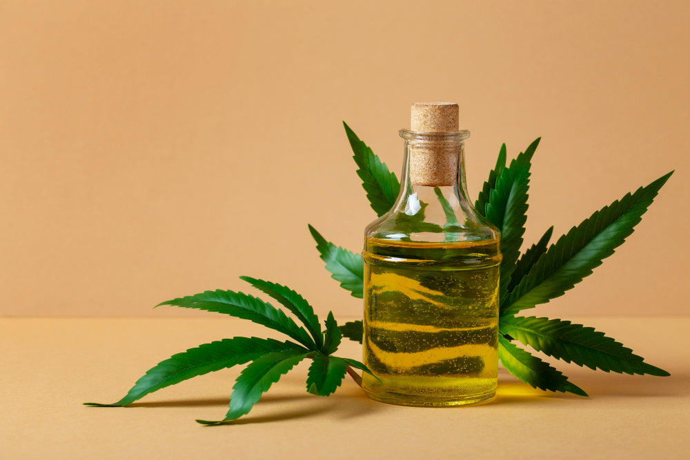 Does CBD Oil Contain THC?