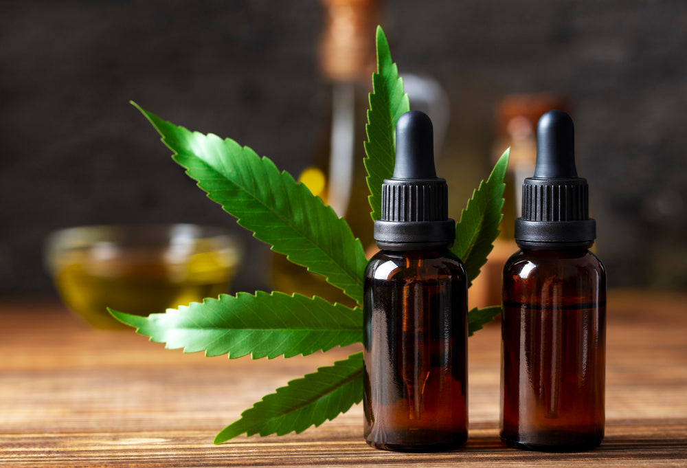 When Is the Best Time to Take CBD Oil?