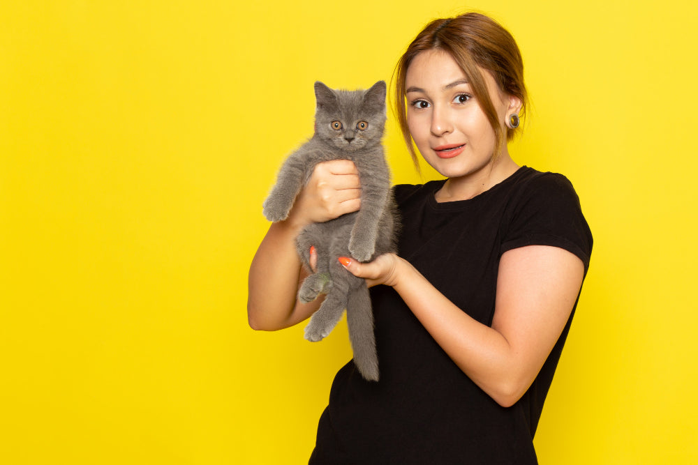 Is CBD Good for Pets? What Dog and Cat Owners Should Know