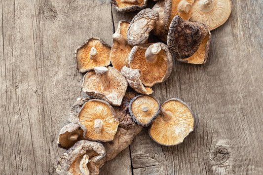 Best Mushrooms for Brain Function